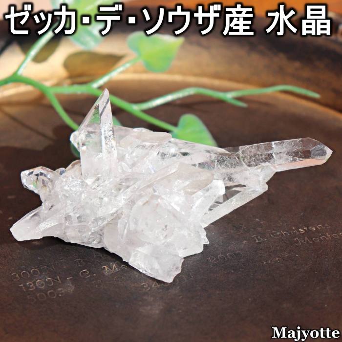 楽天市場】ゼッカ デ ソウザの通販