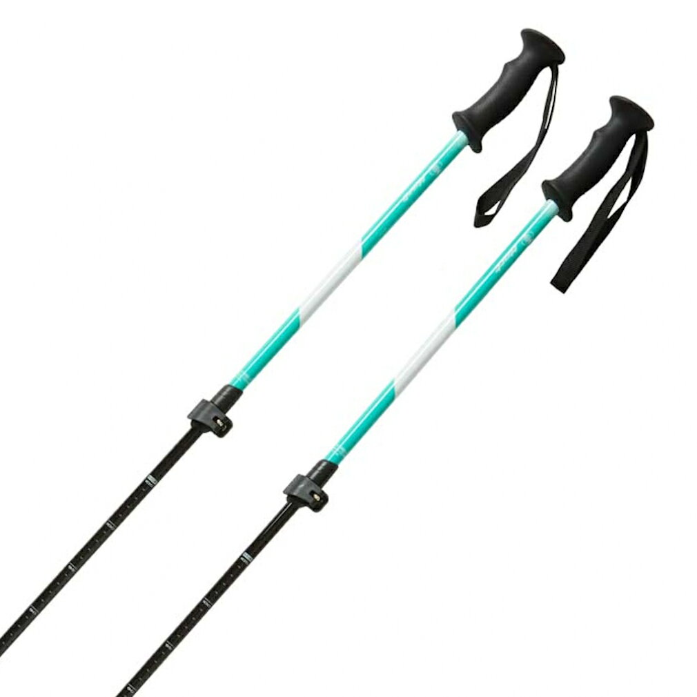 楽天市場】ジュニア スキー hartの通販