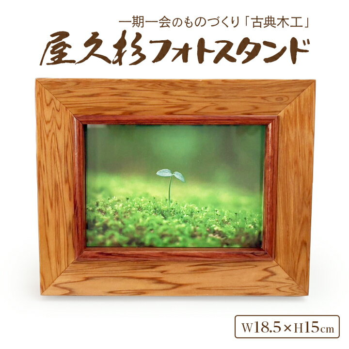 楽天市場】屋久杉 写真立ての通販