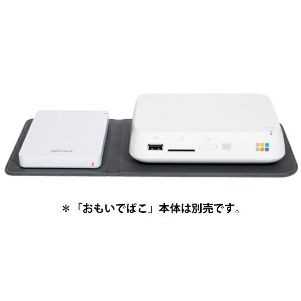 おもいでばこ」PD-1000用バックアップキットはPD-2000にも使えるよ