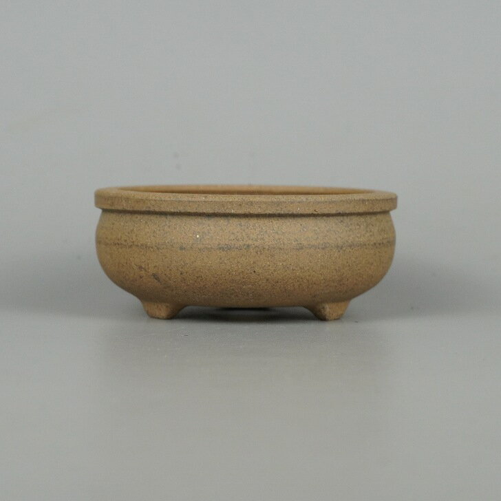 楽天市場】盆栽 真柏（種類（植木鉢）盆栽鉢）の通販