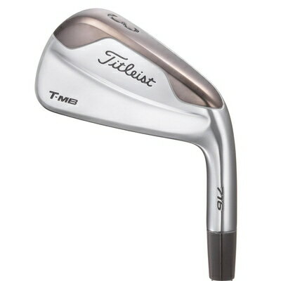 楽天市場】タイトリスト（クラブセット｜メンズクラブ）：クラブ