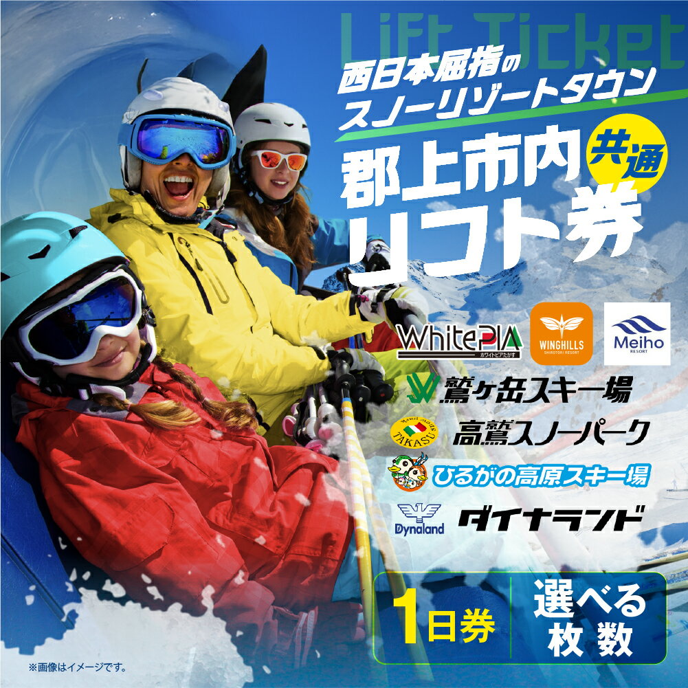 岐阜県(郡上市)】年内発送 岐阜県郡上市 スキー場 共通リフト1日券