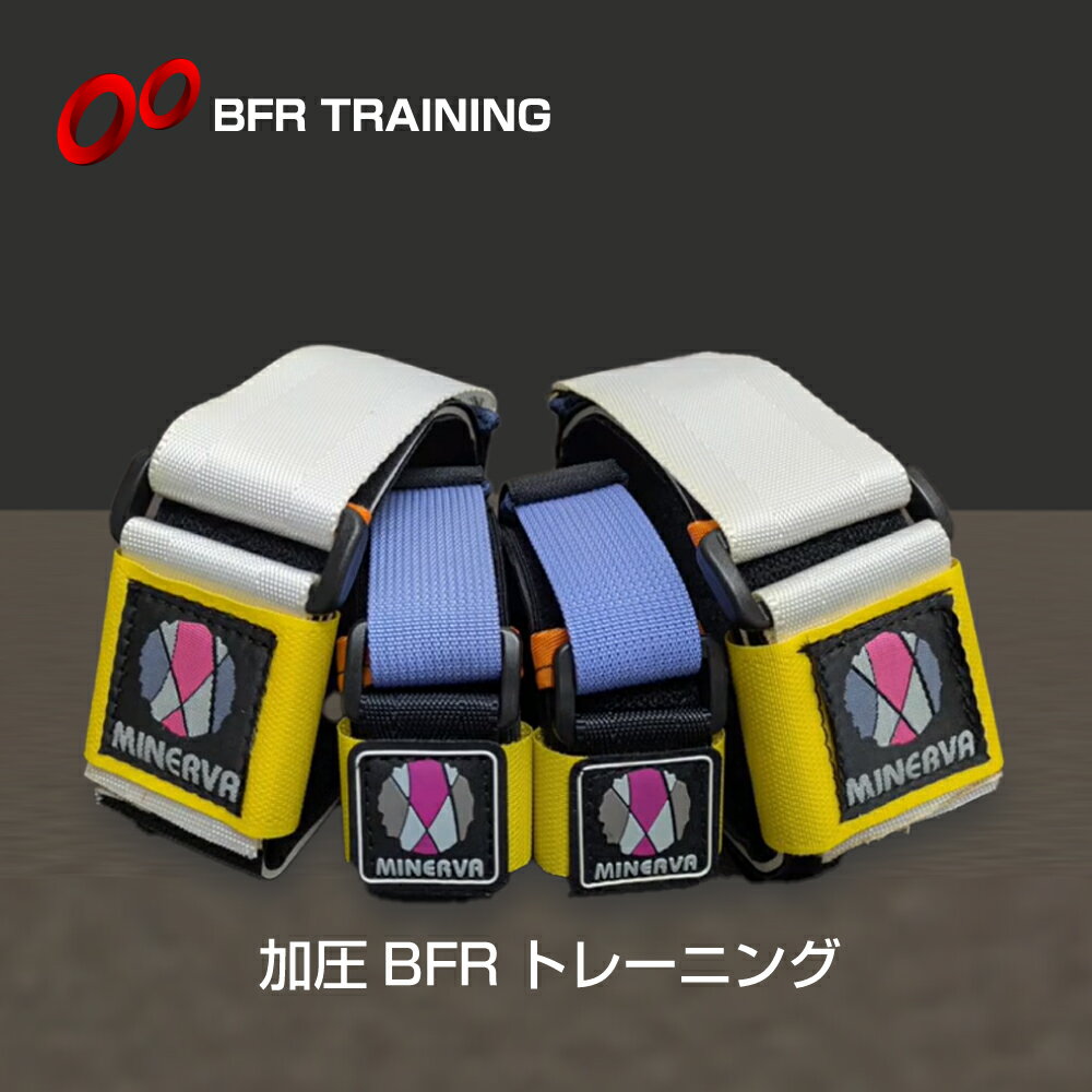楽天市場】bfr トレーニング ベルトの通販