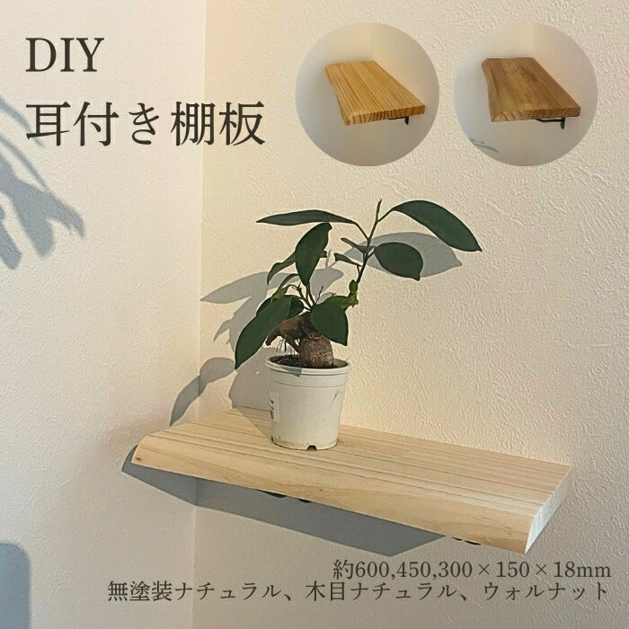 楽天市場】耳付き 棚板の通販