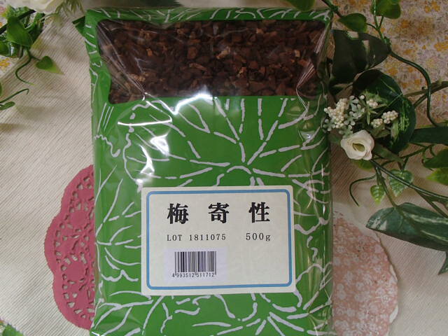 楽天市場】梅の木 サルノコシカケの通販