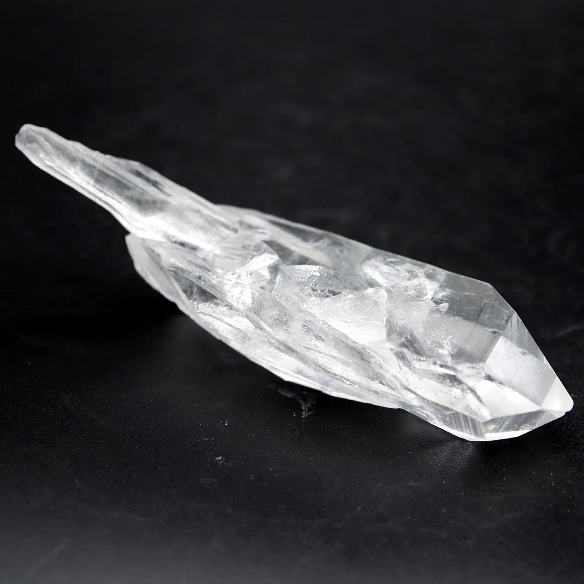 楽天市場】レムリアン ルーツの通販