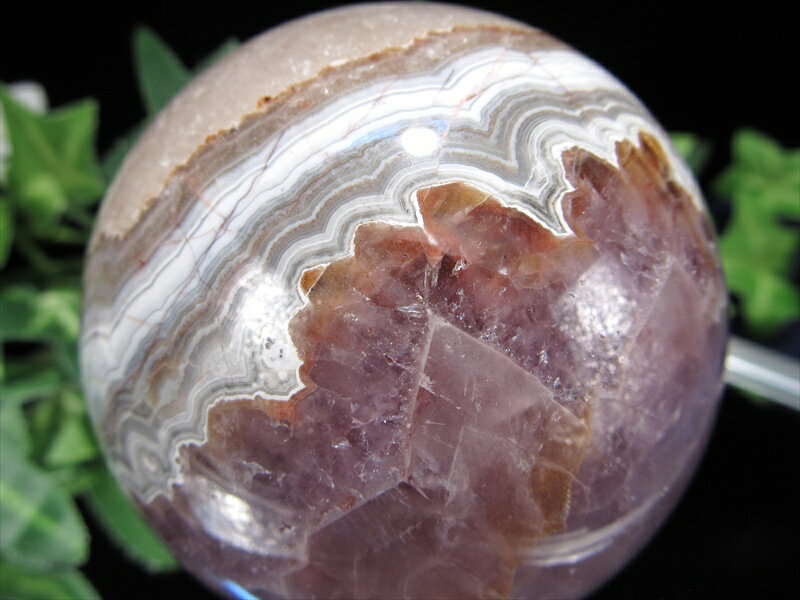 楽天市場】アメジスト 共生の通販