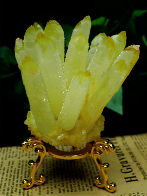 楽天市場】シトリンクラスターの通販