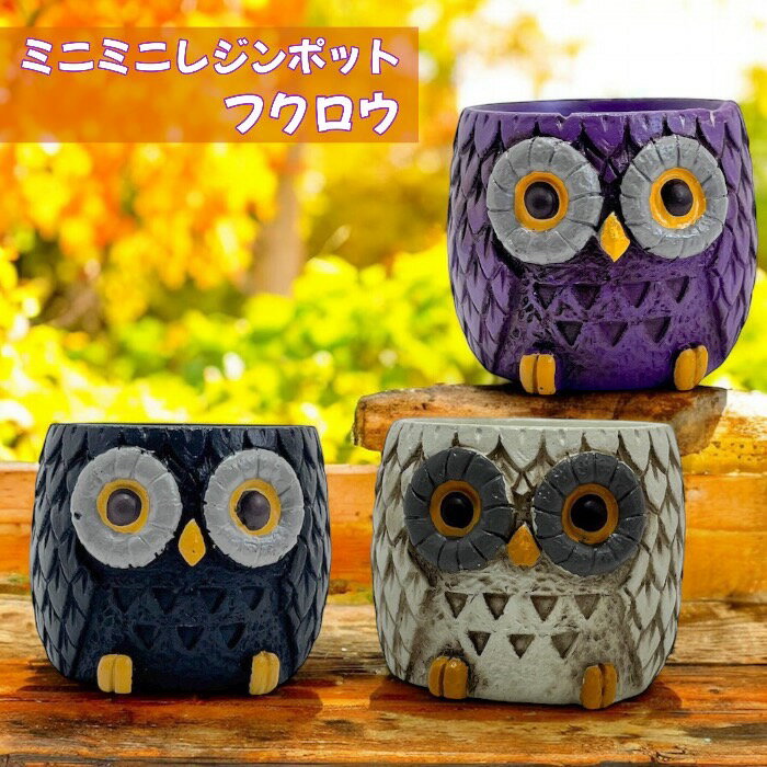 楽天市場】ふくろう 小物入れの通販