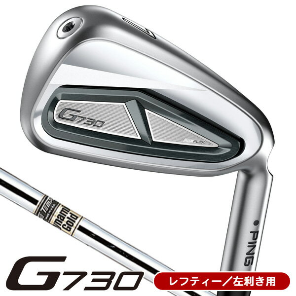 楽天市場】ピン アイアンセット（利き腕左）の通販