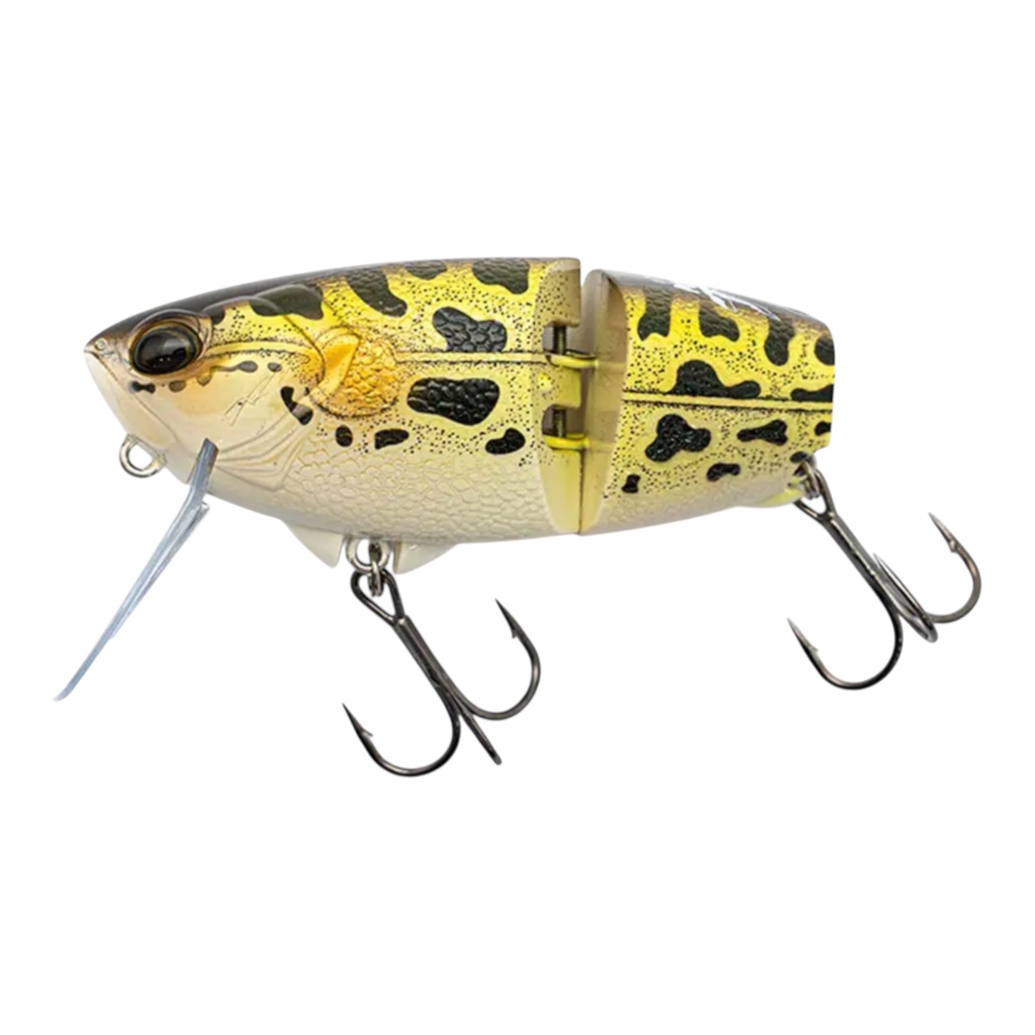 TJ_TJ_Frog.jpg?v=1760570342&