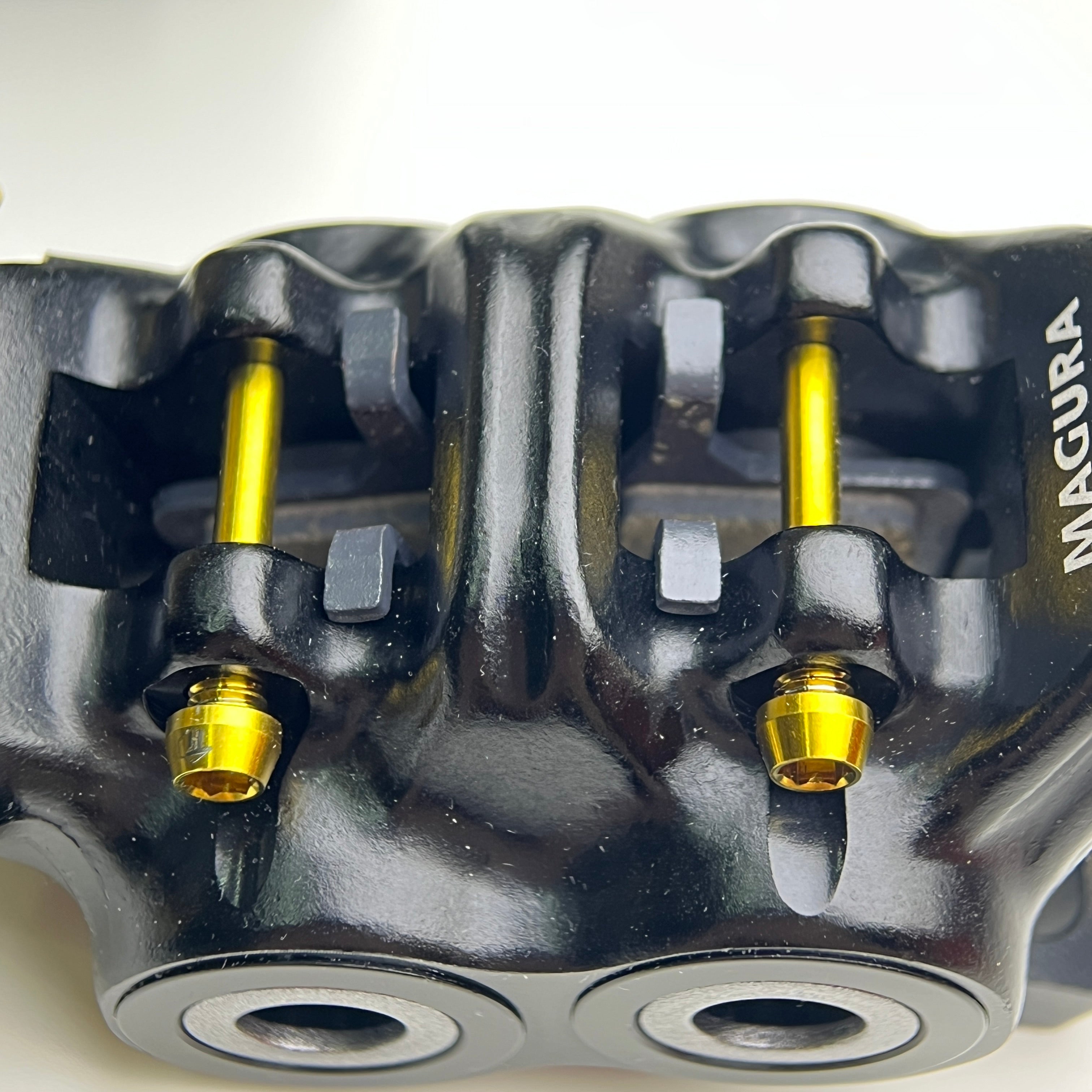 IMG_8298_8a424bb9-d724-44ec-