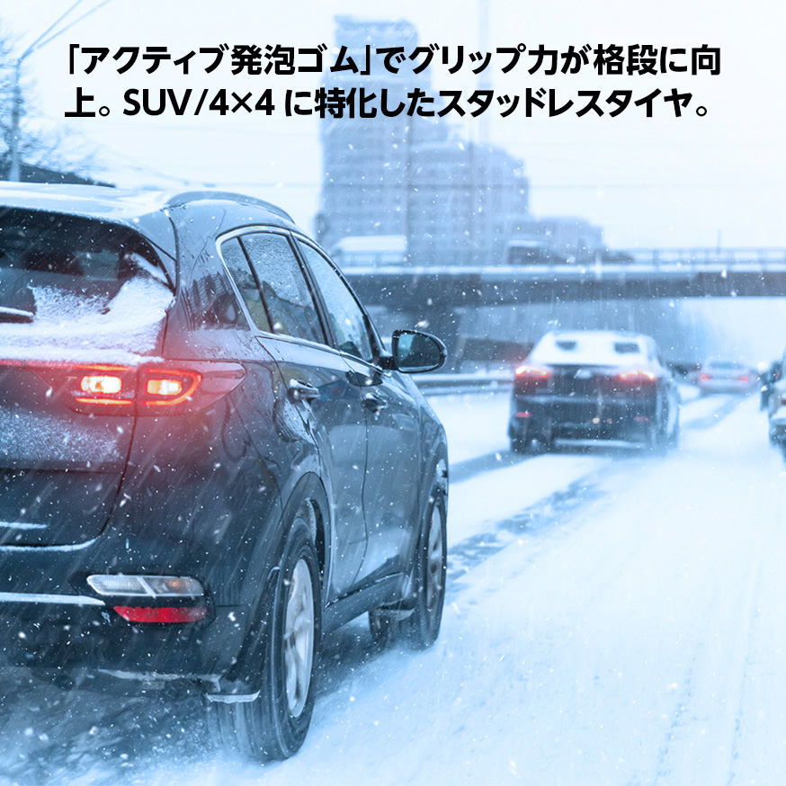 BLIZZAK DM-V2 275/60R18 113Q｜ブリヂストン タイヤオンラインストア