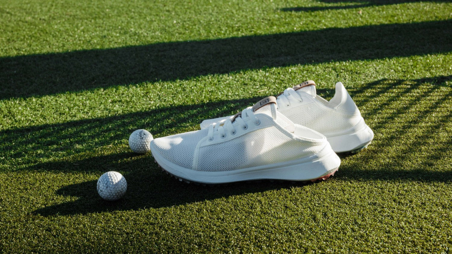 TOMO | Step Into Wonder