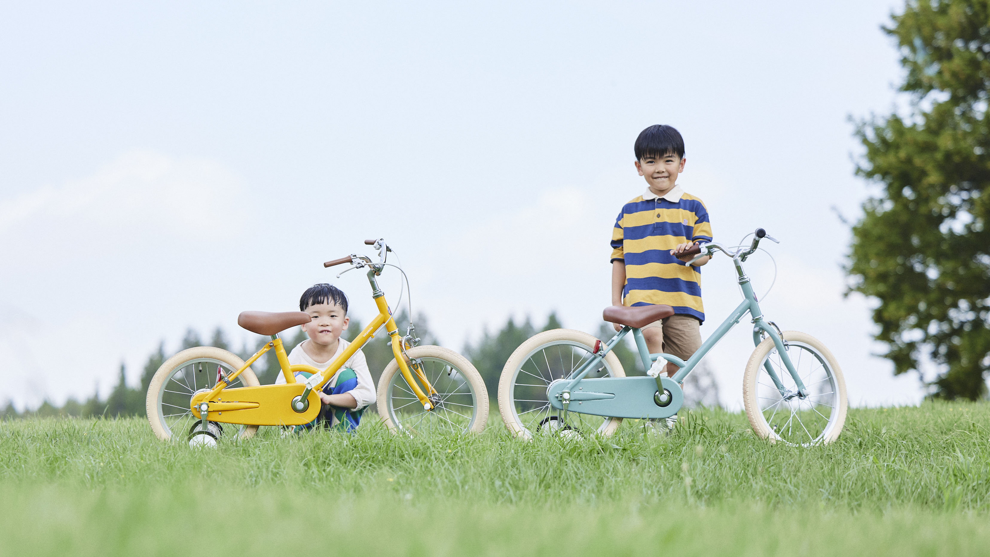 little tokyobike limited edition - トーキョーバイク