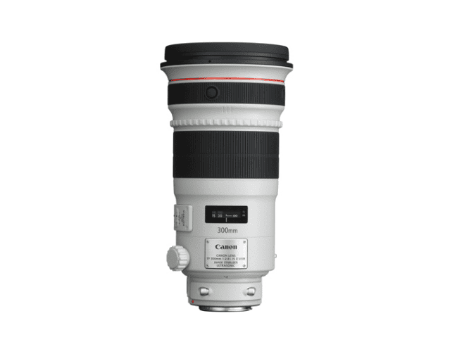 レンタル]Canon EF300mm F2.8L IS II USM | 単焦点レンズを借りるなら