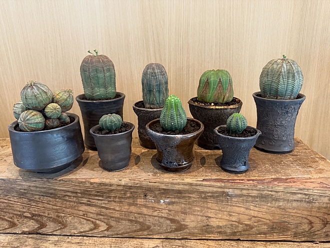 オベサ | 益子焼窯元よこやま