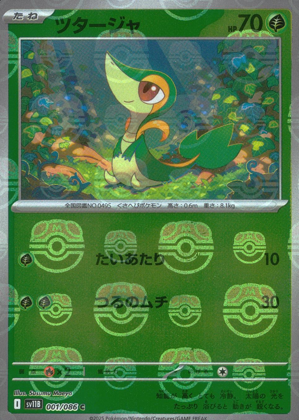 マスターボールミラー