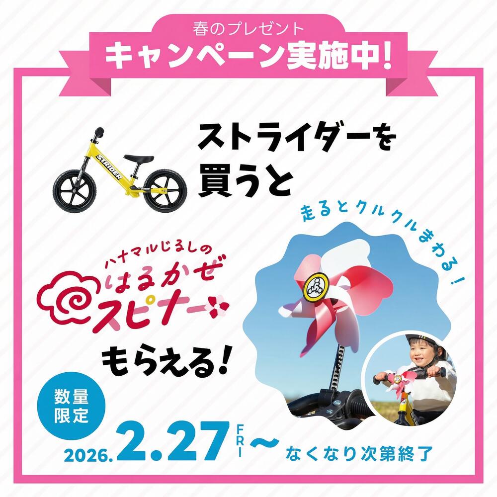 楽天市場】【春キャンペーン開催中】 【楽天1位連続受賞