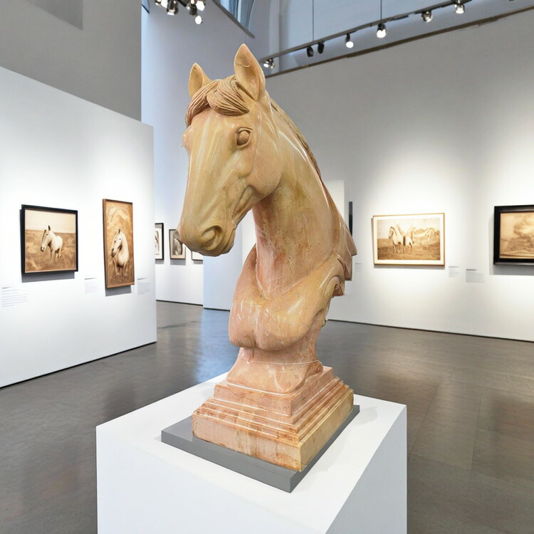 楽天市場】1点もの 大理石彫刻 馬の頭部 (茶) 高さ82cm 動物像