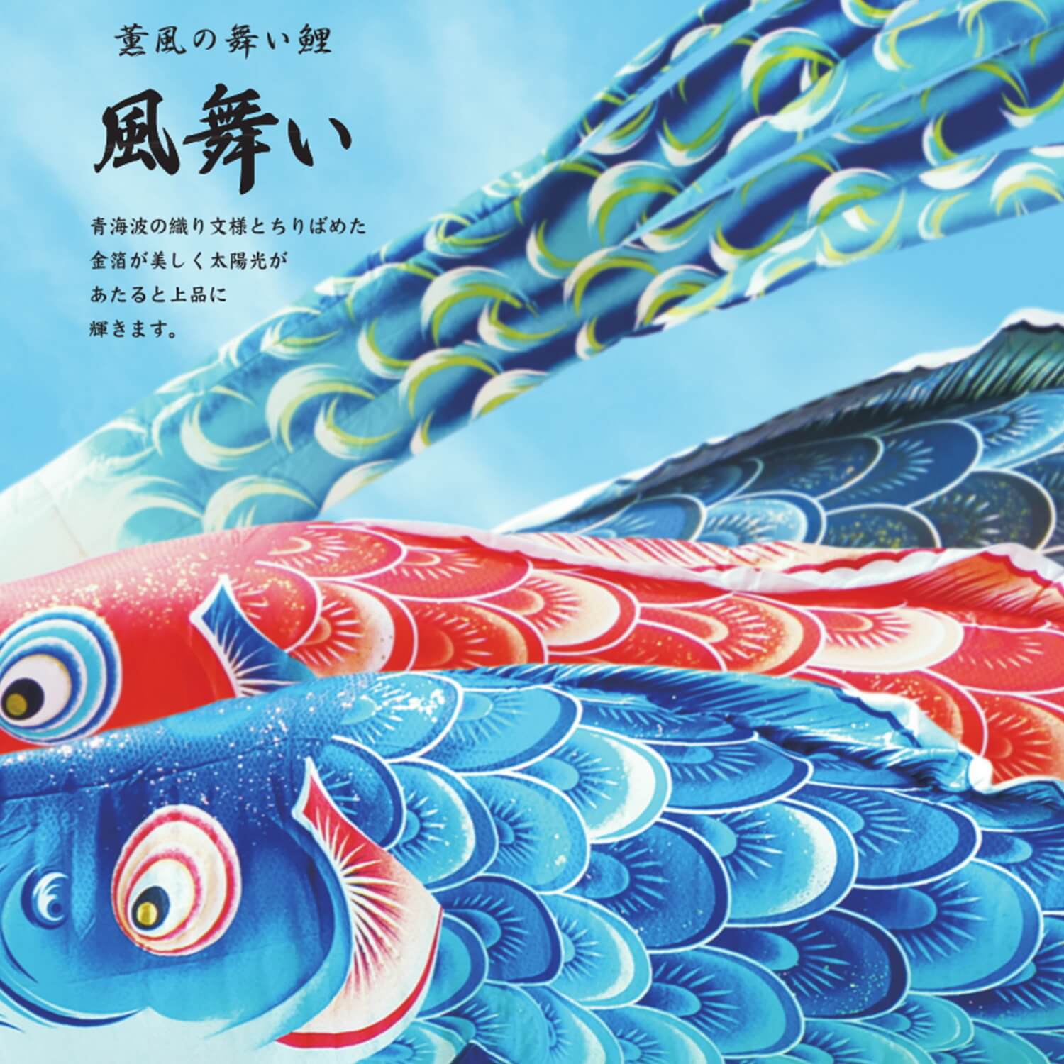 楽天市場】単品鯉 風舞い 単品鯉のぼり 取付け金具セット 鯉のぼり