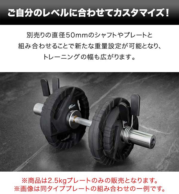 楽天市場】【楽天1位】ダンベルプレート 穴あき 2.5kg 2枚セット 穴径