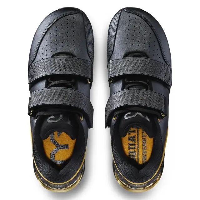 楽天市場】TYR TYRFORCE エリートカーボンリフター : MBC POWER SHOP