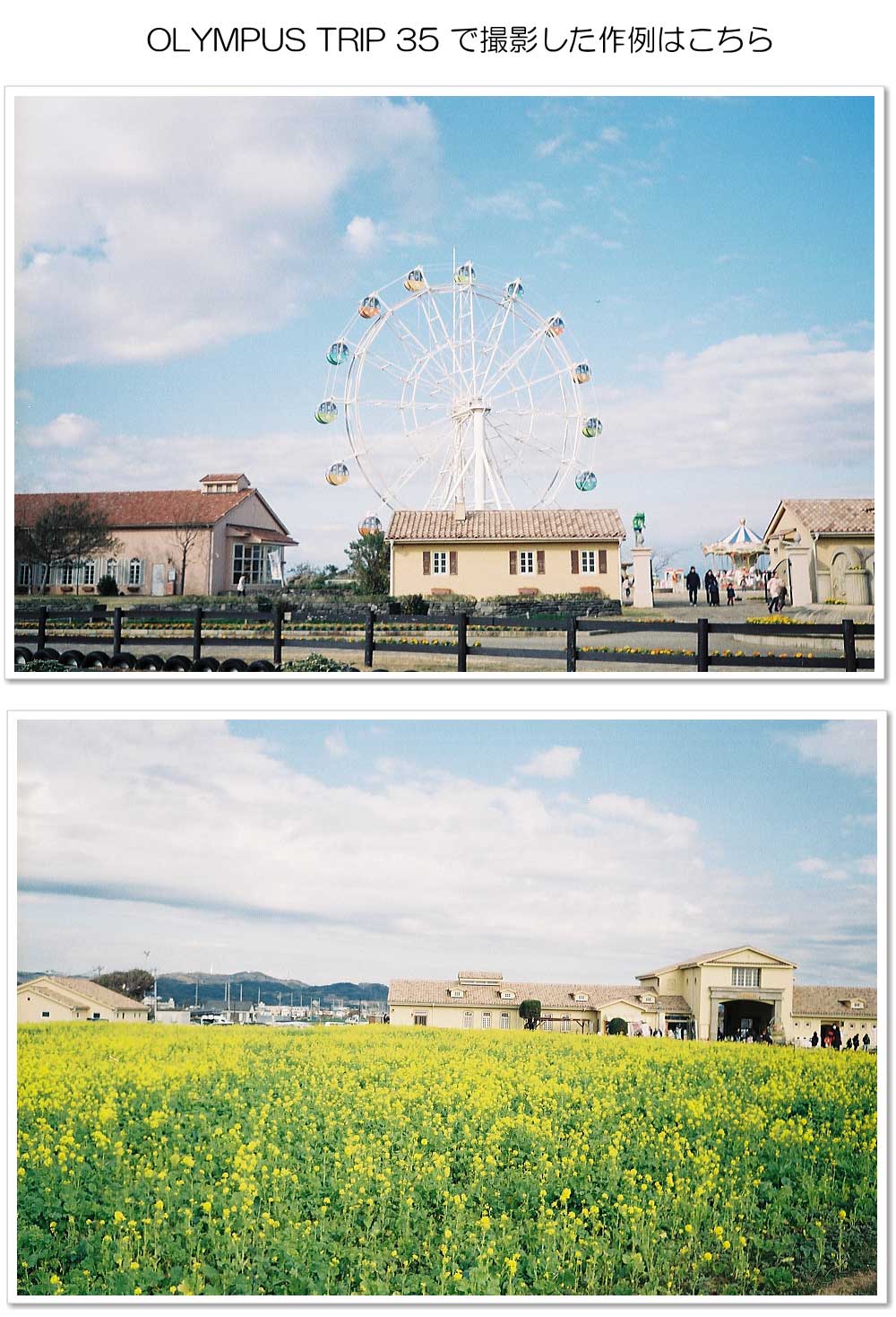 楽天市場】【整備済】【保証付 】 オリンパス OLYMPUS TRIP 35 S/N