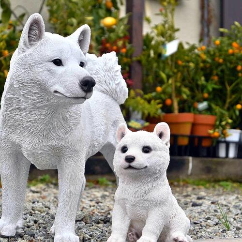 楽天市場】柴犬 豆柴 こゆき ゆきりん2つセット 置物 かわいい置物 犬