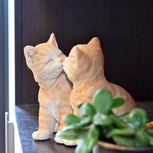 楽天市場】ちゅーするカップルにゃんこキスするカップル茶トラ猫