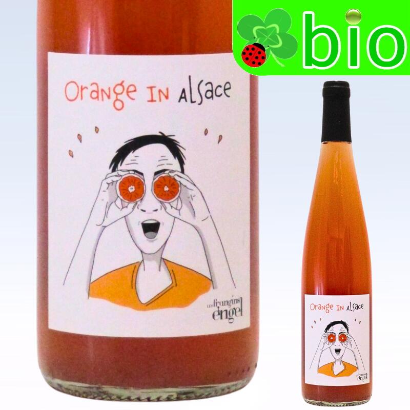 楽天市場】オランジュ イン アルザス(オレンジ／サンスフル)[2024