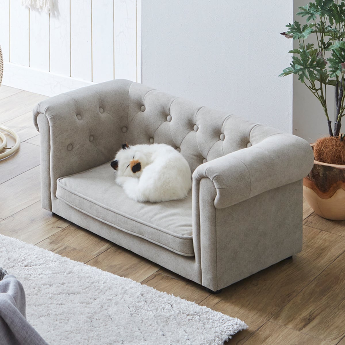 楽天市場】引っかきキズに強いチェスターフィールド風ペットソファー