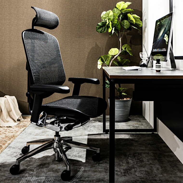 楽天市場】【特約店メーカー完成品・在庫品即納・P10倍】エルゴ