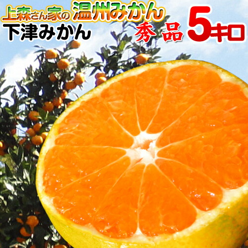 楽天市場】【秀品】【和歌山 みかん 送料無料】上森さん家の下津みかん