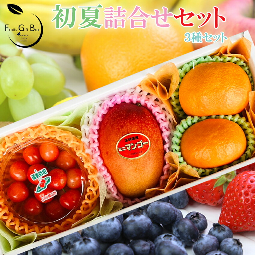 楽天市場】2025 ギフト 初夏のフルーツ詰合せセット3種 さくらんぼ