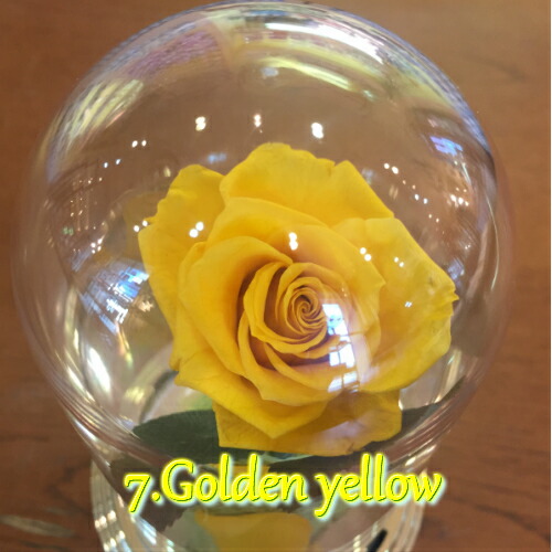 楽天市場】【美女と野獣 プリザーブドフラワーオルゴール】オルゴール