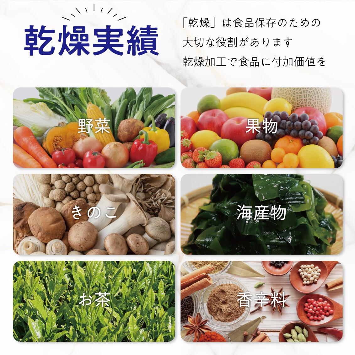 楽天市場】食品乾燥機 日本製 ドライフルーツメーカー E-3H plus 6kg