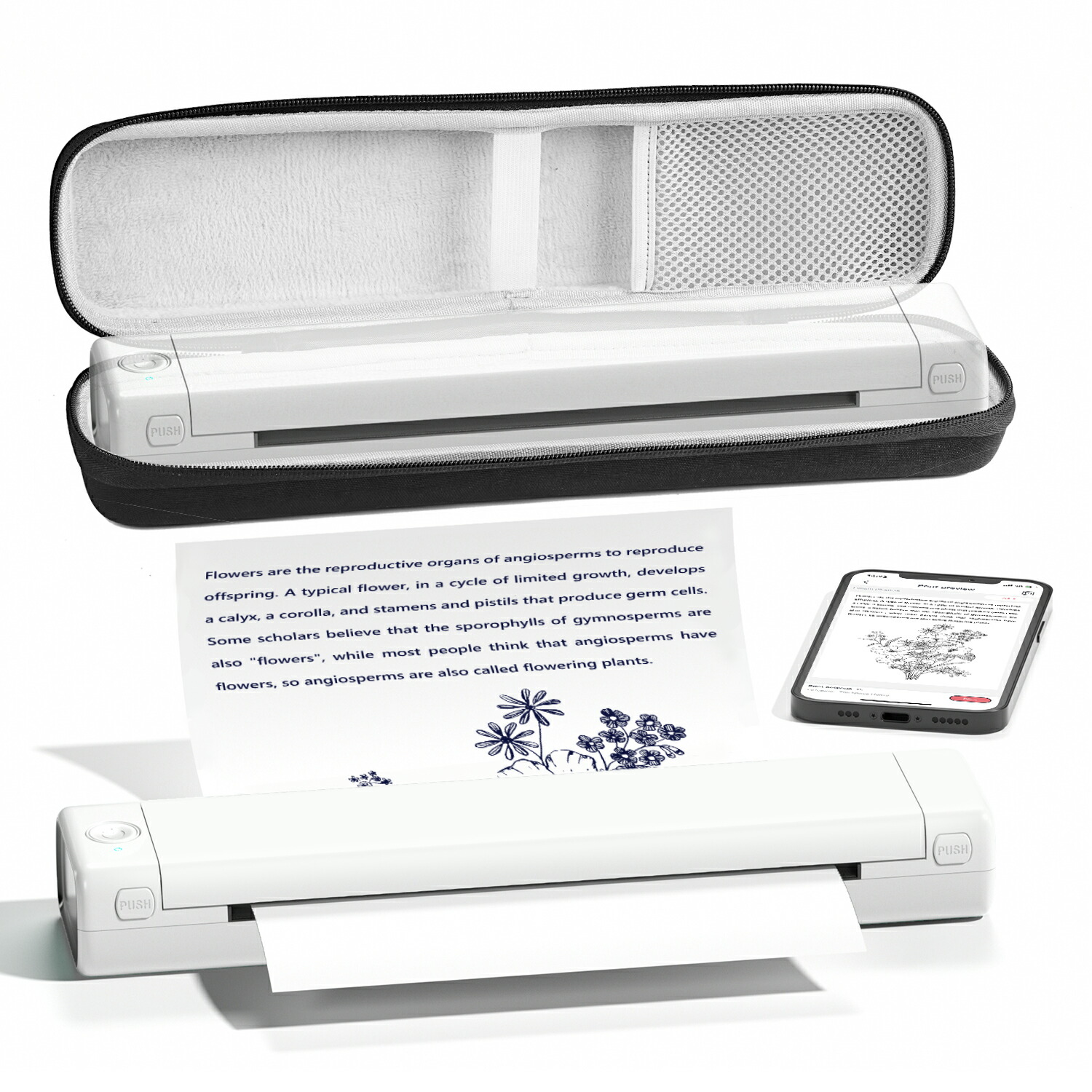 楽天市場】【限定クーポン最大10％オフ】【ランキング第1位獲得