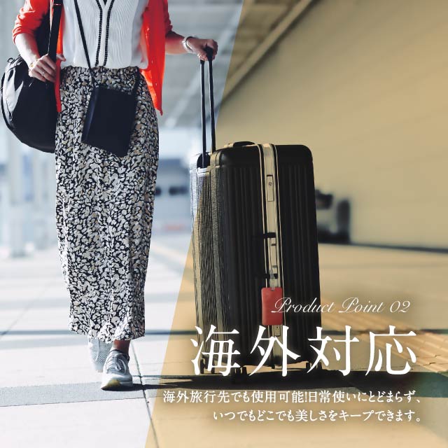 楽天市場】KINUJO 海外対応 ストレートアイロン DS200 W-worldwide