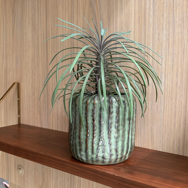 楽天市場】SERAX(セラックス) リブスワンプポット Φ15.5×H14.5cm