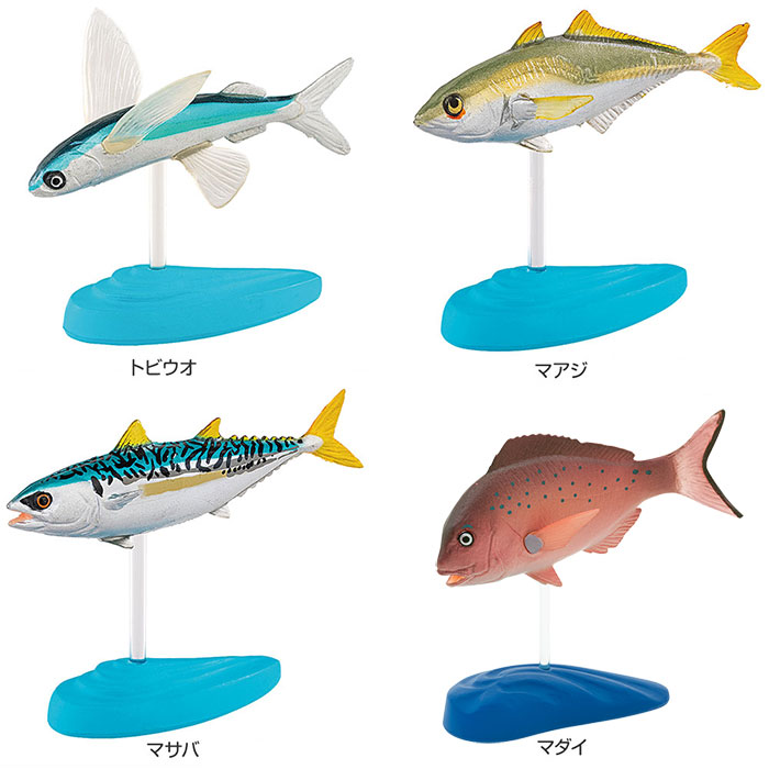 楽天市場】サカナ 海水魚 リアル フィギュア 立体図鑑 ソルト