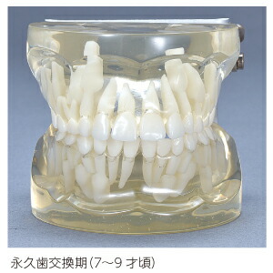 楽天市場】【☆エントリーP5倍+先着100円OFFクーポン 3/4-3/11】透明