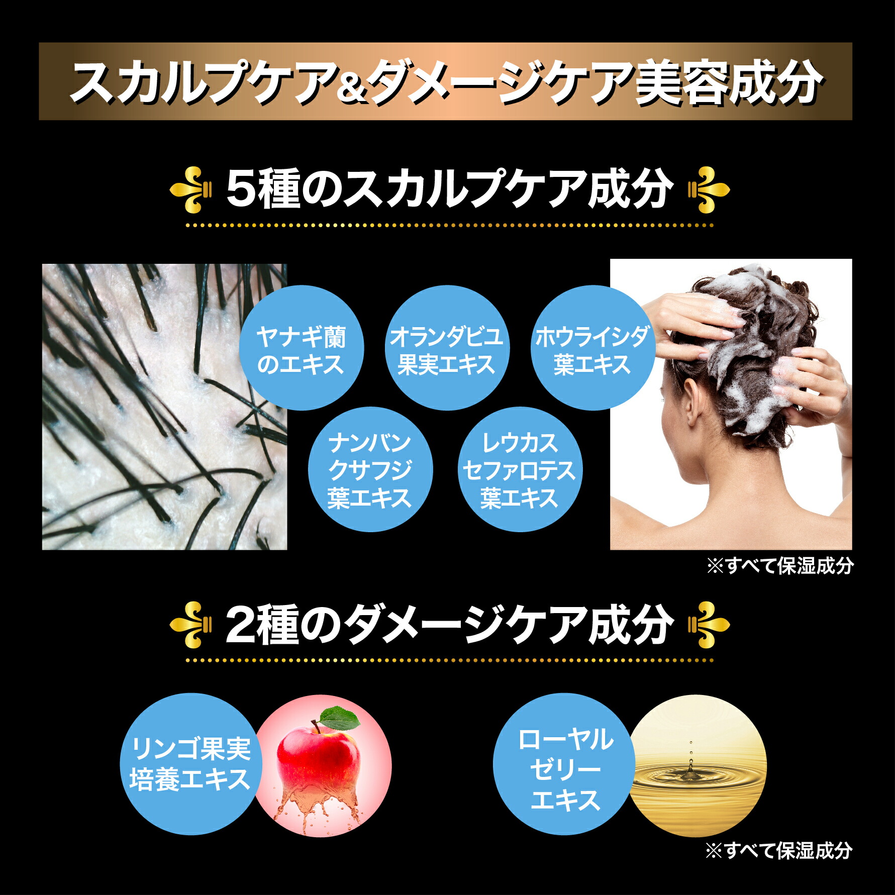 楽天市場】【リニューアル】G.H.S(ジーエイチエス） ファースト