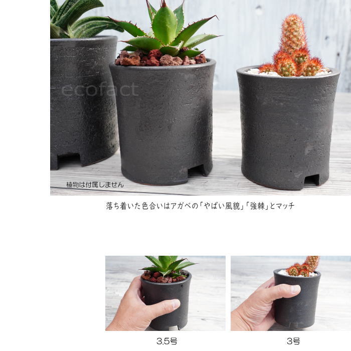 楽天市場】陶器鉢 植木鉢 3.5号 筒型 艶消し 黒 ブラック おしゃれ