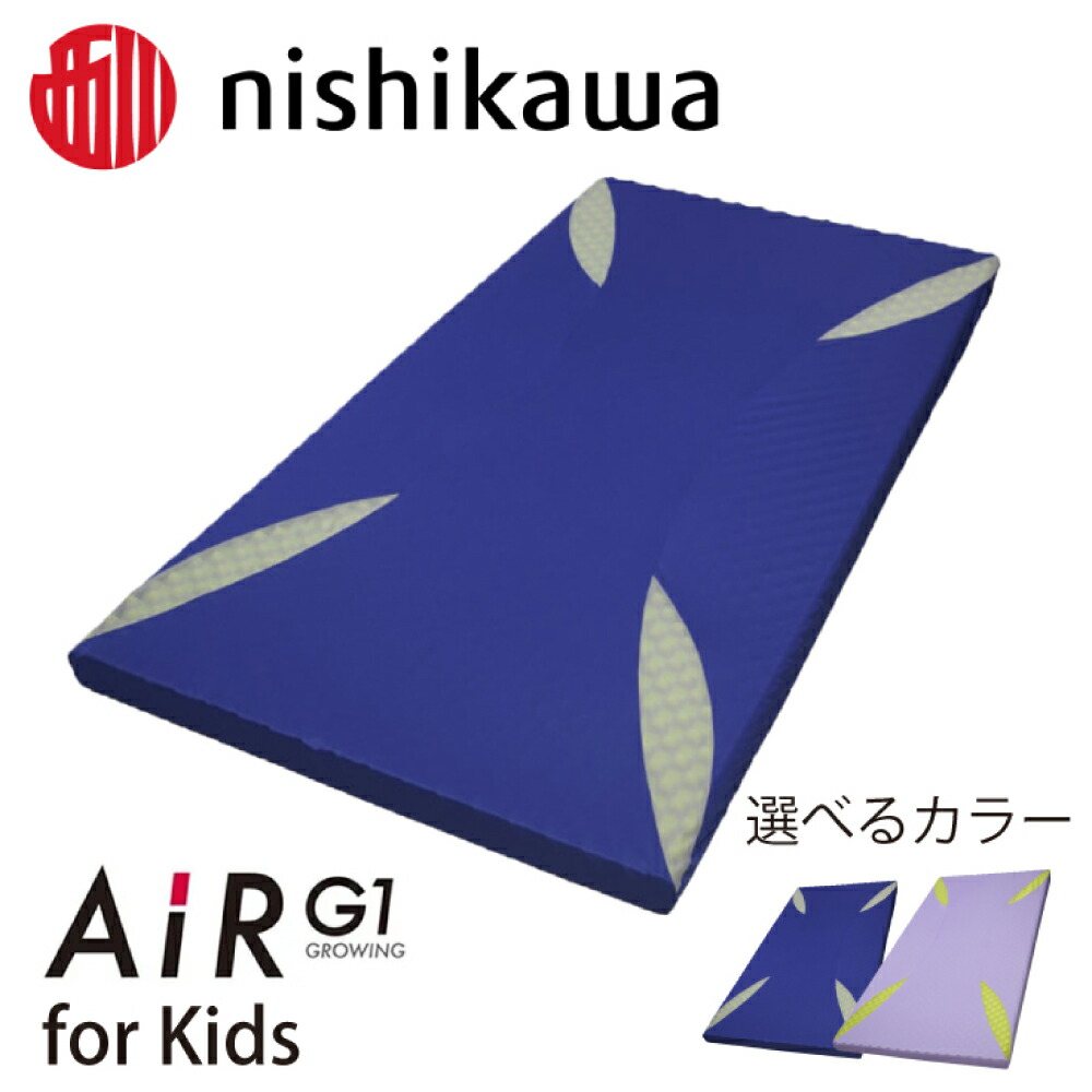 楽天市場】【ふるさと納税】【nishikawa/西川】AiR G1[エアーG1
