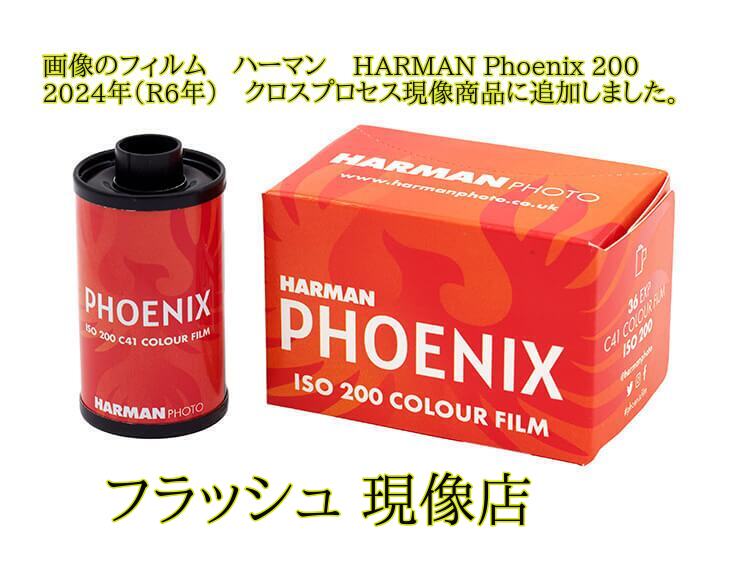 楽天市場】中判カメラ ブローニー120 カラー フィルム 現像 L版 各1枚