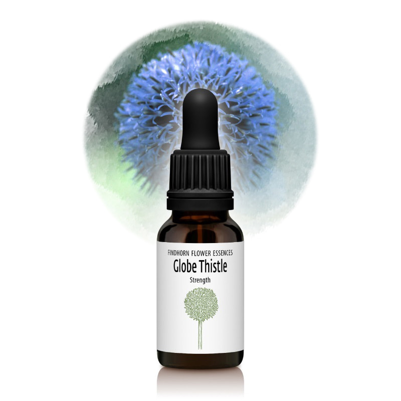 楽天市場】フラワーエッセンス ワンサイデッドウィンターグリーンの通販