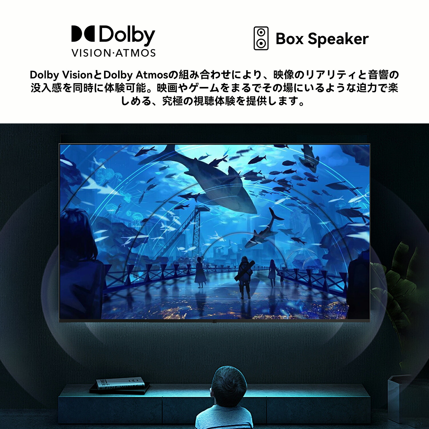 楽天市場】【SS限定価格☆P最大31.5％還元！】FPD チューナーレス