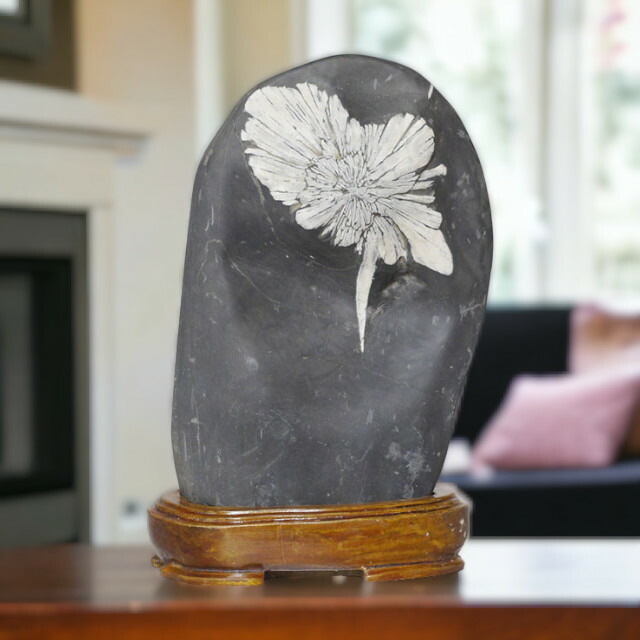 楽天市場】＼期間限定PT5倍☆4日20時〜11日1:59／ 菊花石 No.260 観賞